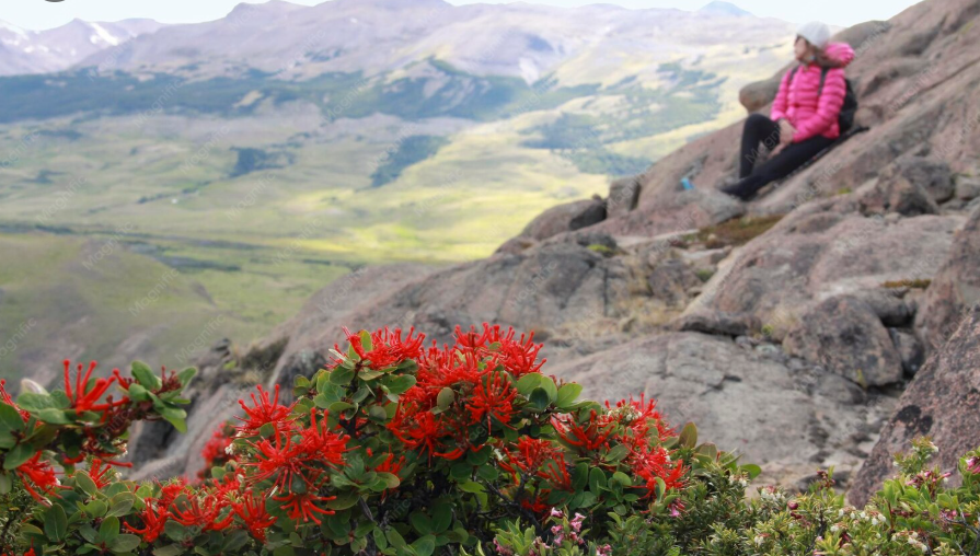 Best Time to Visit Morocco: Month-by-Month Guide Best time to visit Morocco in spring - Atlas Mountains flowers