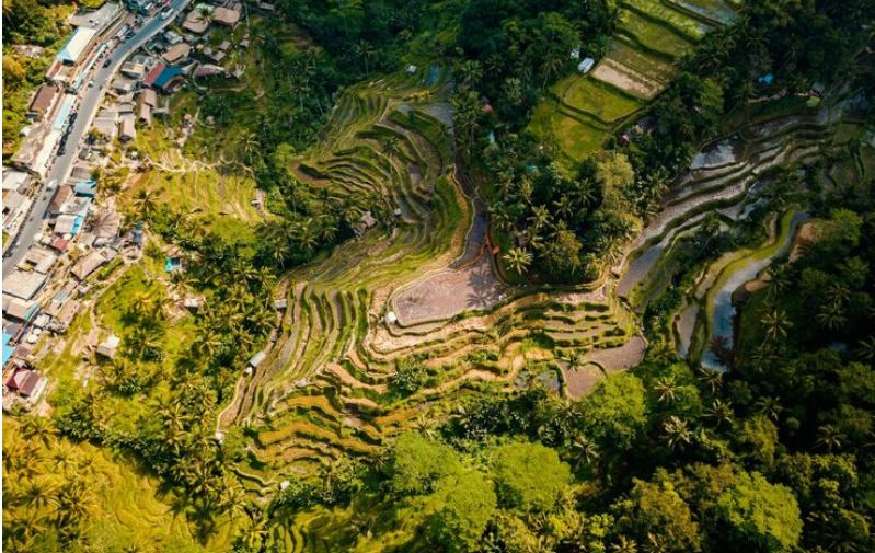 Destinations bali rice terraces aerial