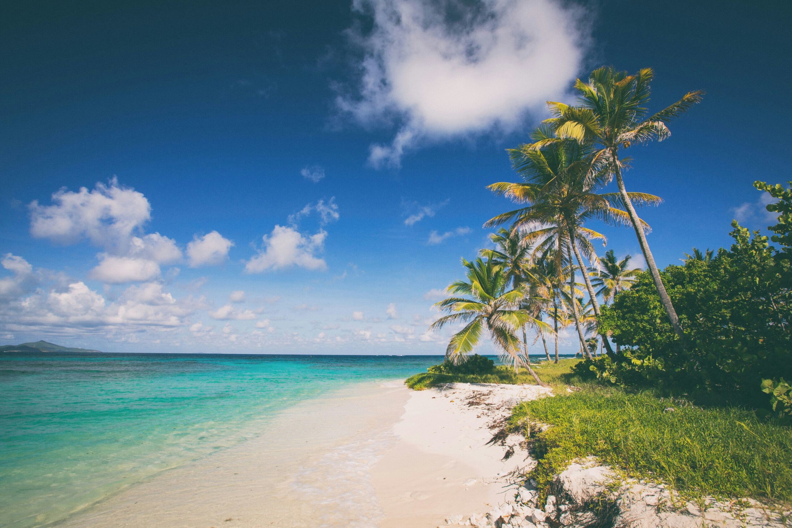 Caribbean travel guide: tropical beach white sand palm trees turquoise water Caribbean island