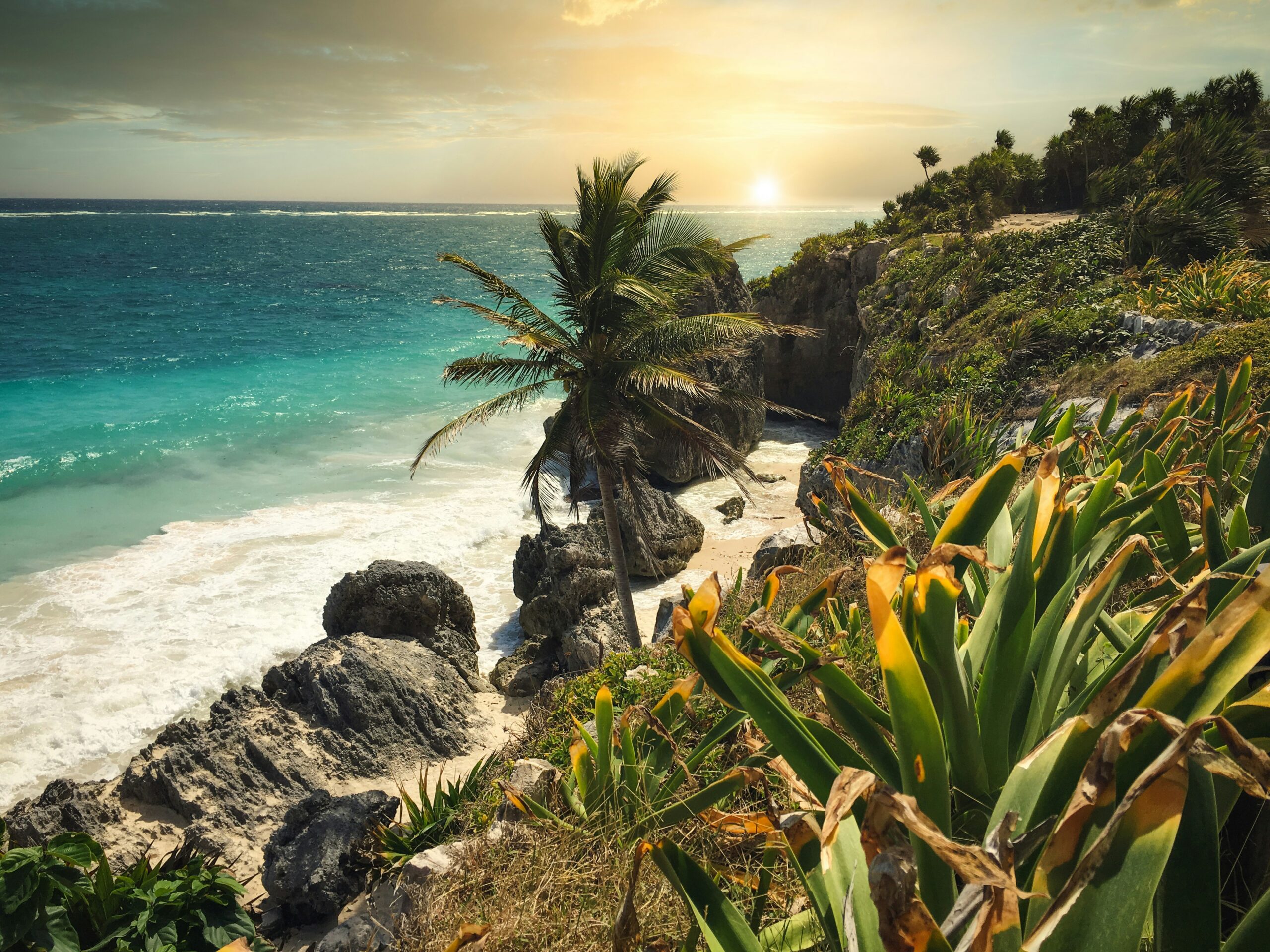 Tulum travel guide: Caribbean coast cliff palm tree sunset turquoise sea Mexico