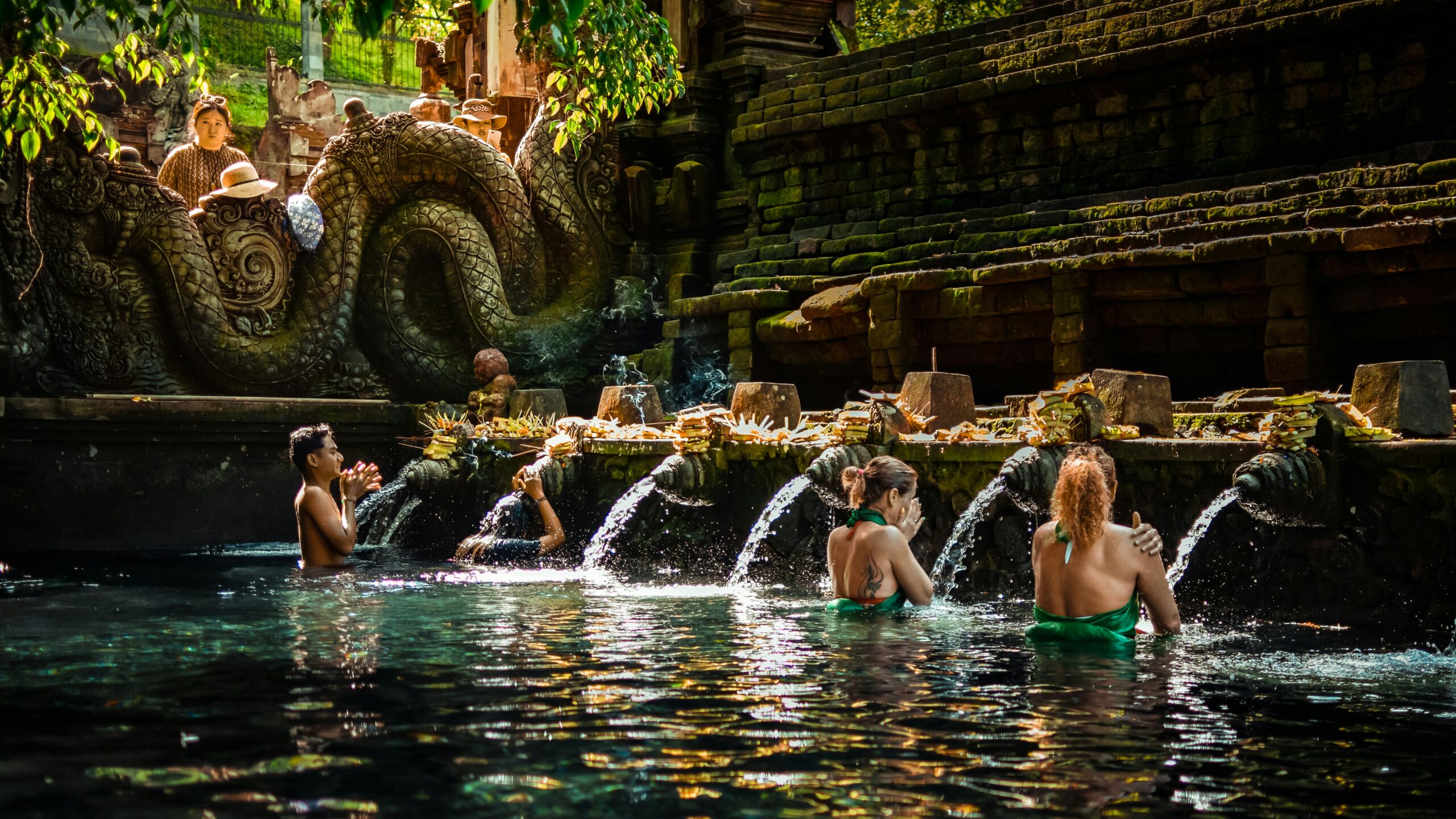 10 days in Bali itinerary: Ubud rice terraces Tegallalang