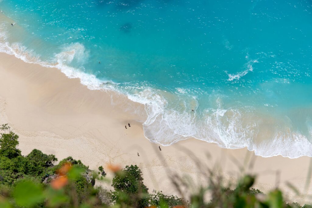 Bali Travel Guide: Everything You Need to Know bali travel guide
