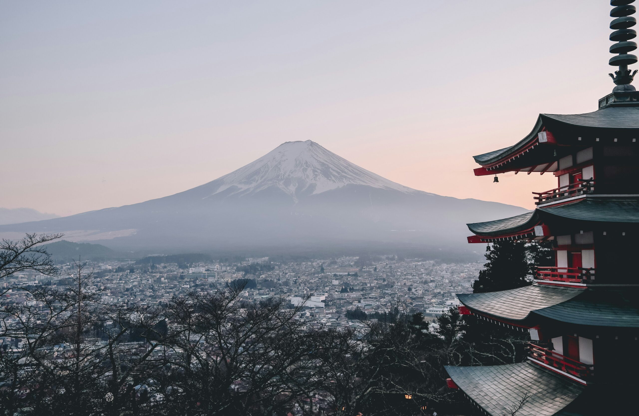 2 weeks Japan itinerary first-timers: Kyoto temple bamboo
