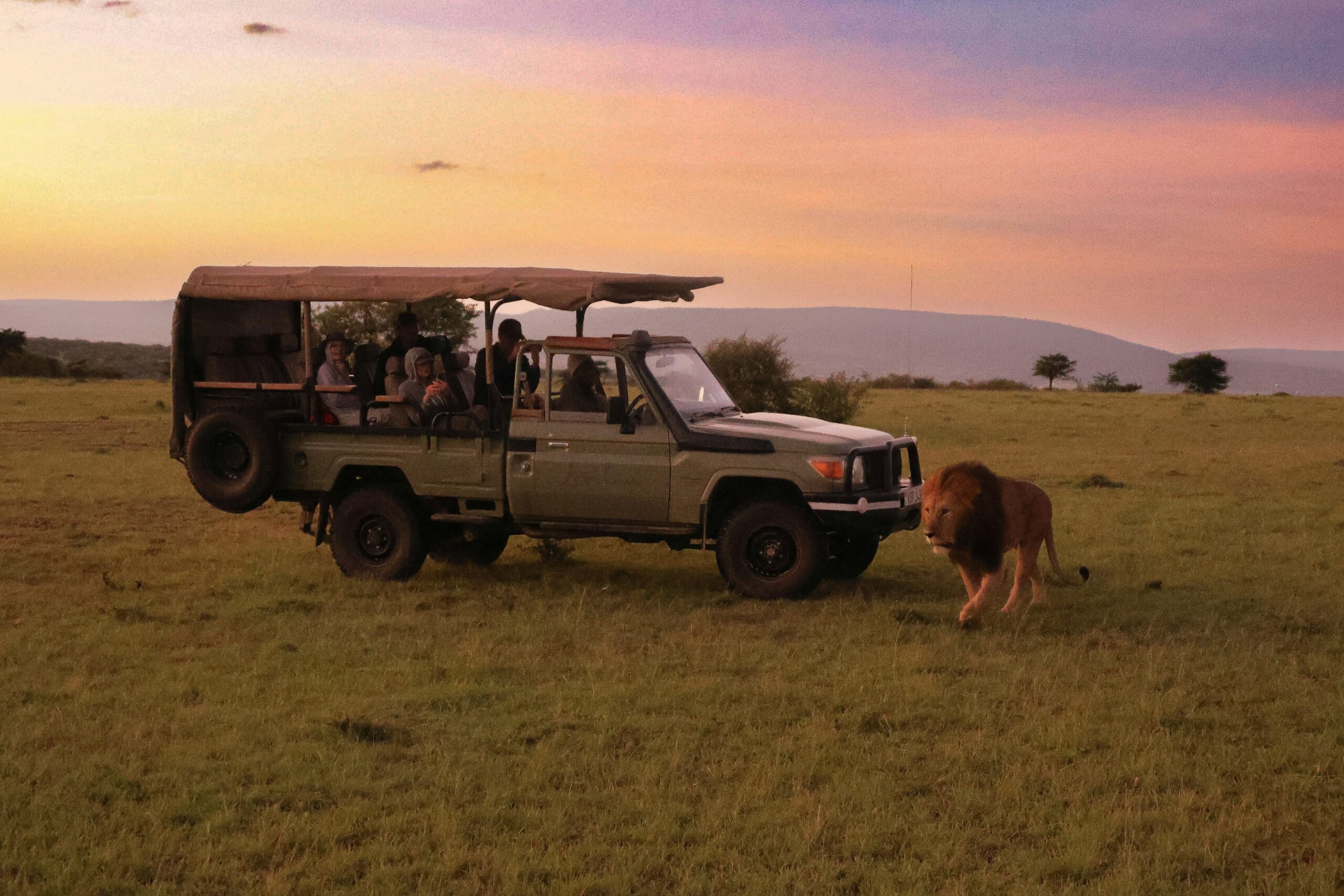 Kenya safari guide: wildebeest Great Migration Maasai Mara crossing