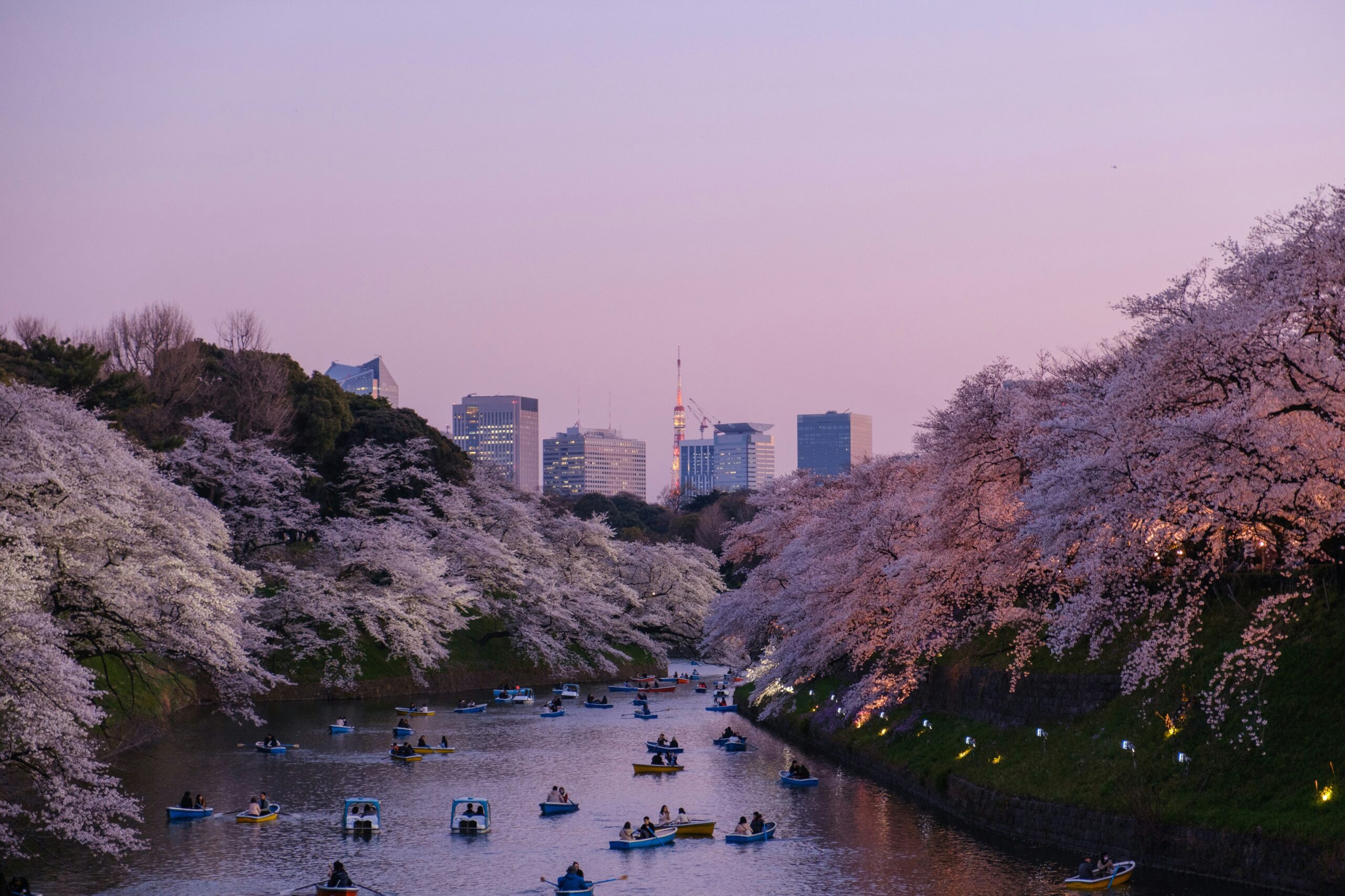 2 weeks Japan itinerary: Tokyo street scene first-timers guide