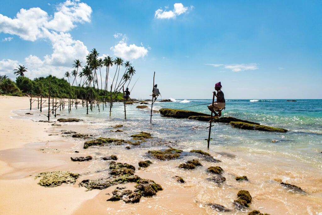 Sri Lanka Travel Guide: Everything You Need to Know sri lanka travel guide