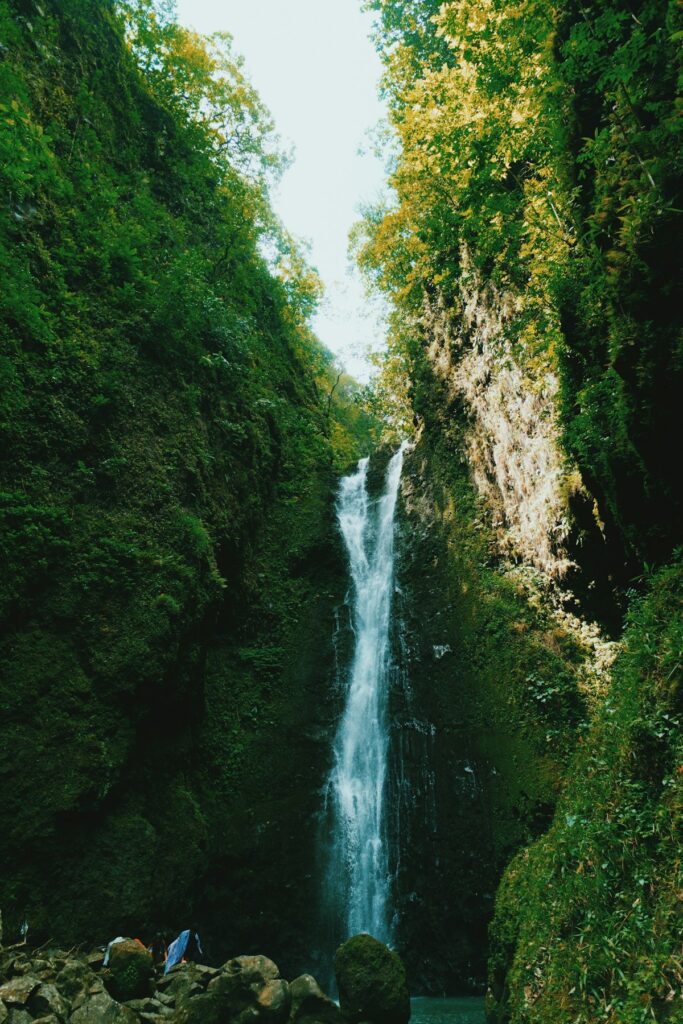 Hawaii Travel Guide: Best Time to Visit & Which Island in 2026 hawaii inline2
