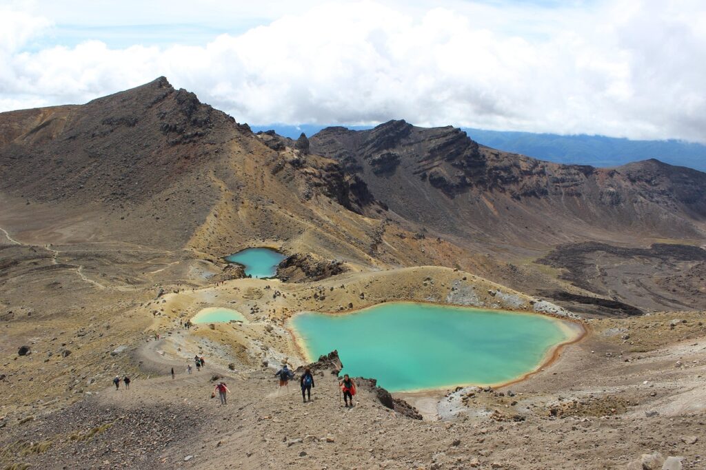 newzealand featured